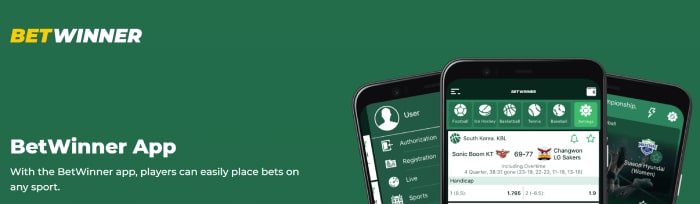 Betwinner App
